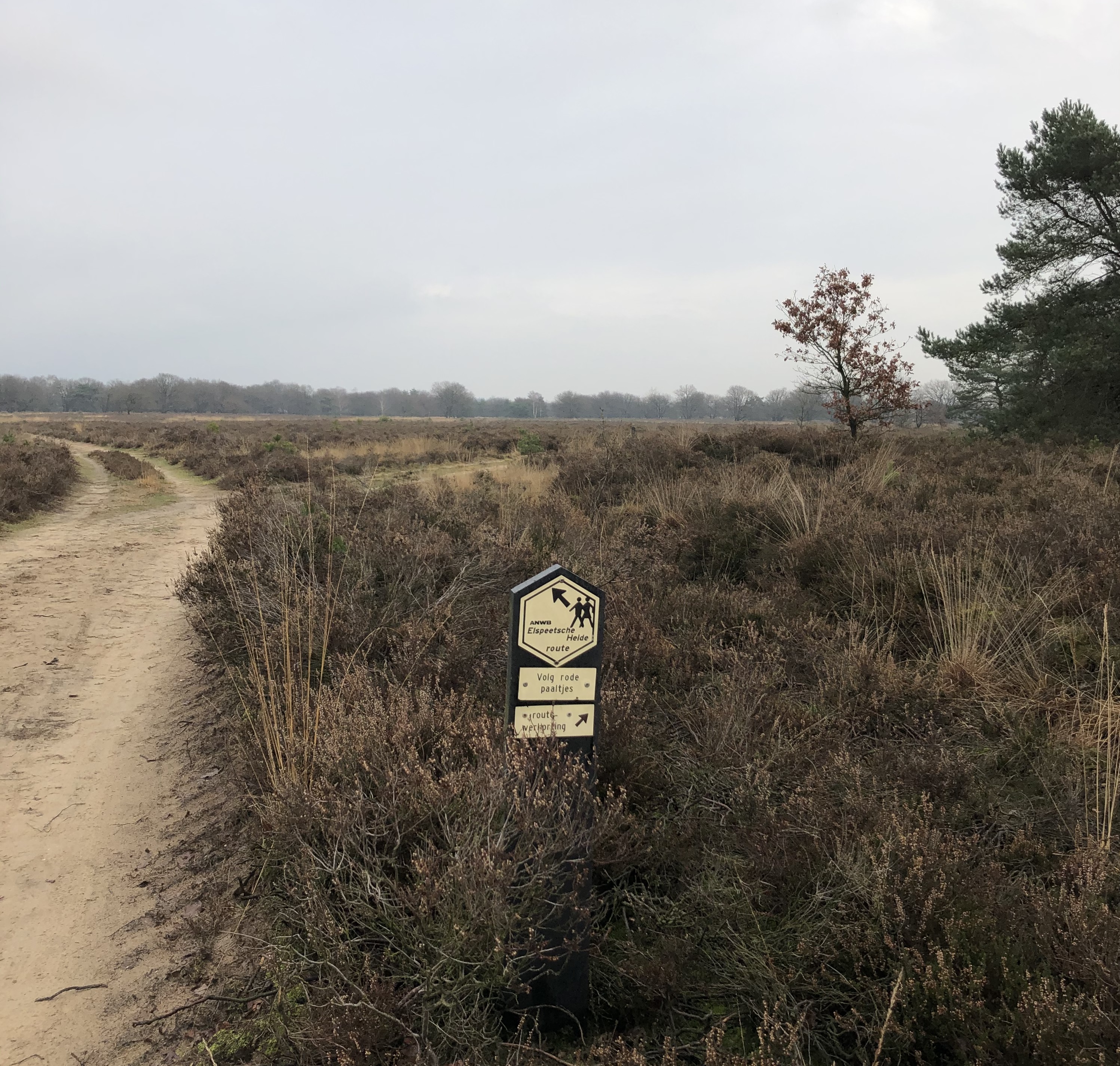 Wandelen over de Elspeter heide